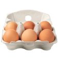 Free-range Eggs 6 pack