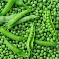 peas-scaled