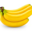 cavendish-banana-1
