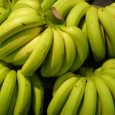 closeup-shot-ripe-bananas-stuck-together-scaled